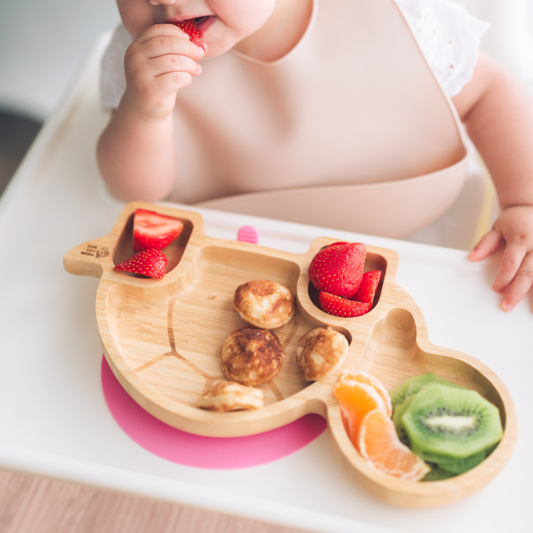 Bamboo Suction Tortoise Plate & Bowl Set